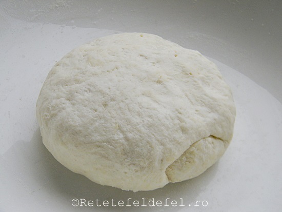 paine cu bicarbonat 022