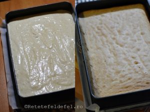 Turnam compozitia obtinuta intr-o tava (de 25x35 cm) tapetata cu hartie de copt. Coacem blatul 30-35 de minute la 175°C.