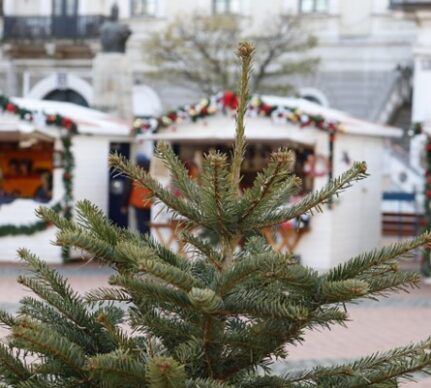 Imagine de la târgurile de Crăciun